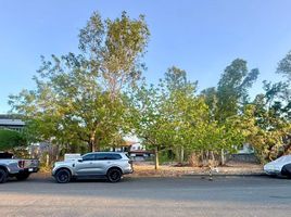 Land for sale in Muntinlupa City, Metro Manila, Muntinlupa City