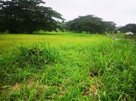  Terreno (Parcela) en venta en Calamba City, Calabarzon, Calamba City, Laguna, Calabarzon, Filipinas