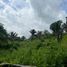  Land for sale in Santa Marta, Magdalena, Santa Marta