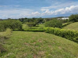  Terreno (Parcela) en venta en Cartago, Valle Del Cauca, Cartago