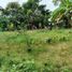  Land for sale in Talisay City, Cebu, Talisay City