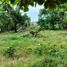  Land for sale in Talisay City, Cebu, Talisay City