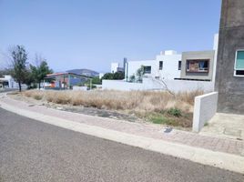  Grundstück zu verkaufen in Corregidora, Queretaro, Corregidora