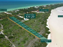  Grundstück zu verkaufen in Dzemul, Yucatan, Dzemul