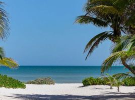  Grundstück zu verkaufen in Dzemul, Yucatan, Dzemul