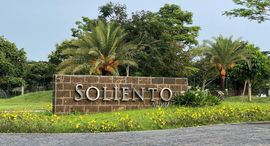 Available Units at Soliento