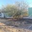  Terreno (Parcela) en venta en Mugica, Michoacán, Mugica