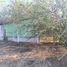  Land for sale in Mugica, Michoacan, Mugica