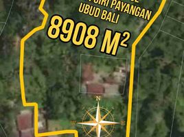  Terrain for sale in Payangan, Gianyar, Payangan