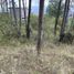  Terreno (Parcela) en venta en Cumbaya, Pichincha, Cumbaya