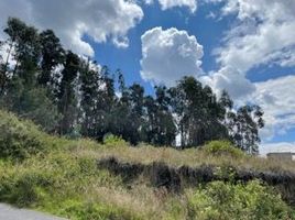  Terreno (Parcela) en venta en Cumbaya, Pichincha, Cumbaya