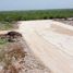  Land for sale in Tixpehual, Yucatan, Tixpehual