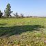 Terreno (Parcela) en venta en Acatlan De Juarez, Jalisco, Acatlan De Juarez
