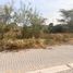 Terrain à vendre à Castilla, Piura, Castilla, Piura, Piura, Pérou