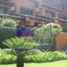 1 Bedroom Villa for rent in Jose Azueta, Guerrero, Jose Azueta