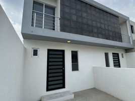 3 Schlafzimmer Haus zu verkaufen in Tlalnelhuayocan, Veracruz, Tlalnelhuayocan