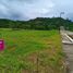  Land for sale in Batangas, Calabarzon, Calatagan, Batangas