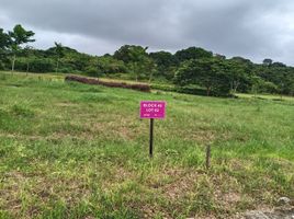  Land for sale in Batangas, Calabarzon, Calatagan, Batangas