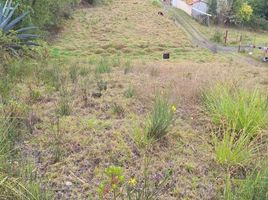  Land for sale in Azuay, Valle, Cuenca, Azuay