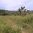  Terrain for sale in Coron, Palawan, Coron