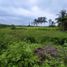  Land for sale in Crucita, Portoviejo, Crucita