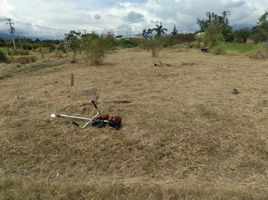  Terreno (Parcela) en venta en Tolima, Melgar, Tolima