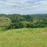  Land for sale in Cebu Central Visayas, Aloguinsan