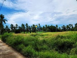  Land for sale in Danao City, Cebu, Danao City