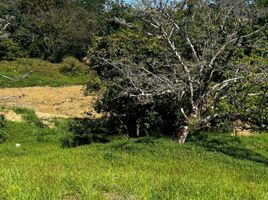  Land for sale in San Jeronimo, Antioquia, San Jeronimo