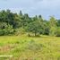  Land for sale in Danao City, Cebu, Danao City