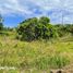  Land for sale in Danao City, Cebu, Danao City