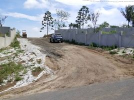  Land for sale in Amadeo, Cavite, Amadeo