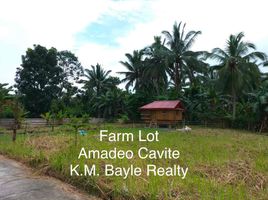  Land for sale in Amadeo, Cavite, Amadeo