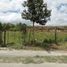  Land for sale in Cotacachi, Imbabura, Cotacachi, Cotacachi