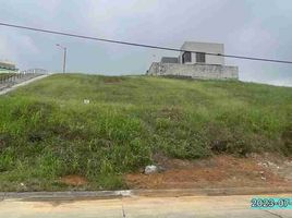  Land for sale in Daule, Guayas, Daule, Daule