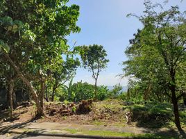 Terrain à vendre à Calamba City, Calabarzon, Calamba City