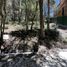  Land for sale in Mineral Del Chico, Hidalgo, Mineral Del Chico