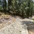  Land for sale in Mineral Del Chico, Hidalgo, Mineral Del Chico