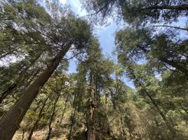  Land for sale in Mineral Del Chico, Hidalgo, Mineral Del Chico