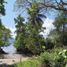  Land for sale in Palawan Mimaropa, Coron