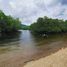 Land for sale in Palawan Mimaropa, Coron