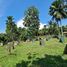  Land for sale in Davao City, Davao, Davao City, Davao del Sur, Davao