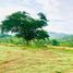  Land for sale in Cebu Central Visayas, Barili