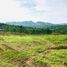  Land for sale in Cebu Central Visayas, Barili