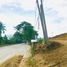  Land for sale in Cebu Central Visayas, Barili