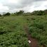  Land for sale in Calamba City, Calabarzon, Calamba City