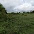  Land for sale in Calamba City, Calabarzon, Calamba City