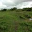  Land for sale in Calamba City, Calabarzon, Calamba City