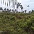  Land for sale in Sibonga, Central Visayas, Sibonga