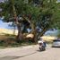  Terrain for sale in Barili, Cebu, Barili
